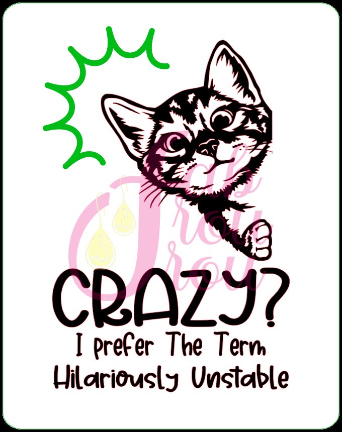 Crazy Unstable Cat
