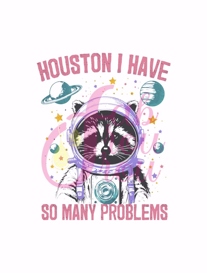 Houston Problems Raccoon