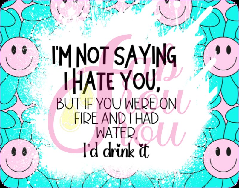 Not Saying I Hate You Water